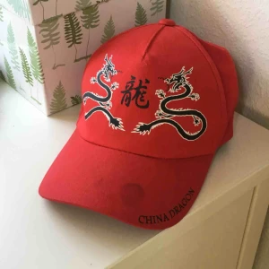  - Keps med drakar på! Finns en fläck längst ut på kepsen annars inget fel på den. Går att justera storleken. Fri frakt!!