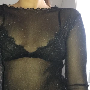 Glittrig meshtopp - Glittrig långärmad meshtopp med detaljerad sömm.