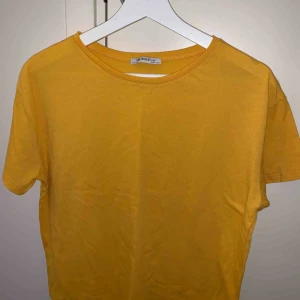  - En T-shirt från zara härlig färg storlek m men sitter bra som en S. Knappt använd, köparen står för frakten📦☺️