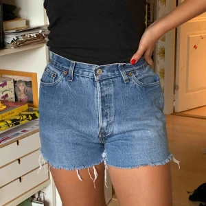  - Ett par skitsnygga Levisshorts i bra skick. Köparen står för frakt.