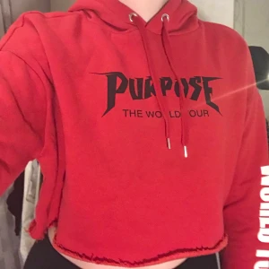 Röd hoodie - Säljer den här fina hoodien från h&m då den inte används, tröjan köptes för ett tag sen men den är knappt använd och i bra skick. På framsidan är det ett svart tryck där det står ”purpose the world tour” och på båda ärmarna är det ett vitt tryck där det står ”world tour”.