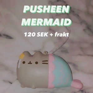 Pusheen squishy - Säljer denna pusheen squishy från Clare’s. Rare, soft och slow! Säljer denna mochi seal squishyn från det kända märket Puni Maru. Den är i bra skick. Om man köper från Buniisquish ingår det alltid extras (ex. klistermärken), tackkort och postbevis. Undrar du vad squishys är? - dm:a 💖