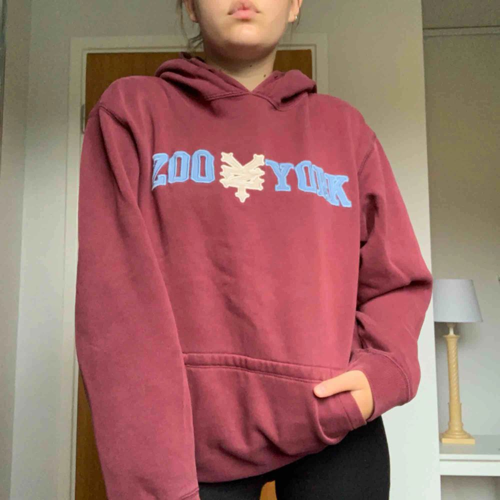 originell zoo york hoodie. köpt secondhand men kommer inte till användning. oversized så skulle även passa en m. köparen står för frakten🌟. Huvtröjor & Träningströjor.