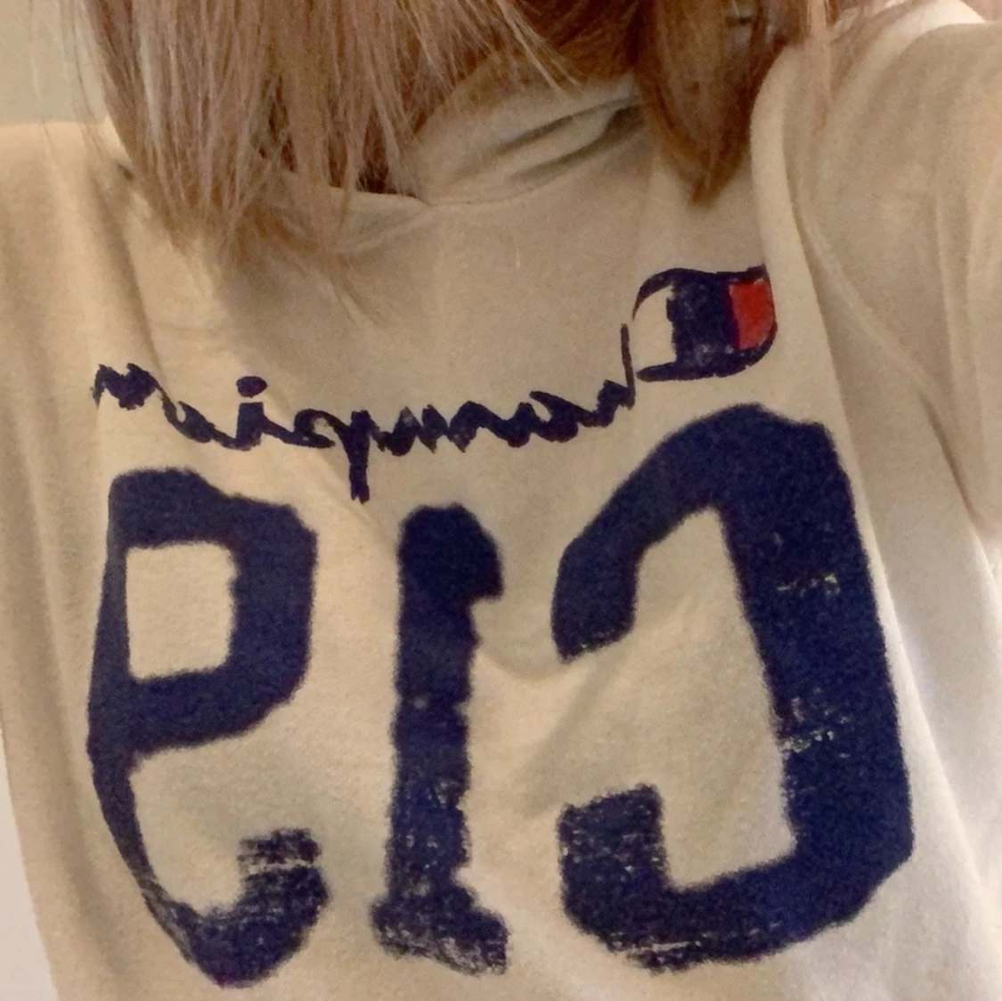 hoodie från champion  - 90