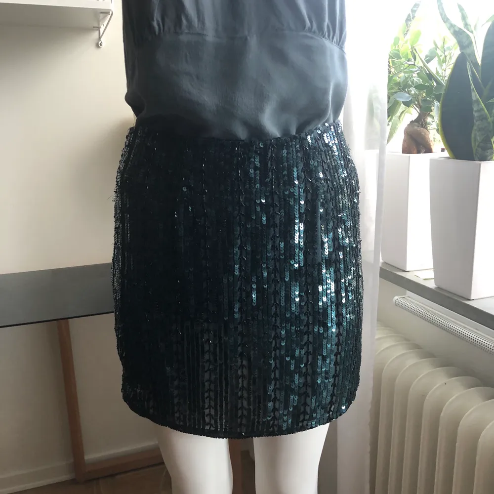 Kort kjol med paljetter i storlek S från märket Twist & Tango. Använd endast en gång. Är i gott skick.. Kjolar.