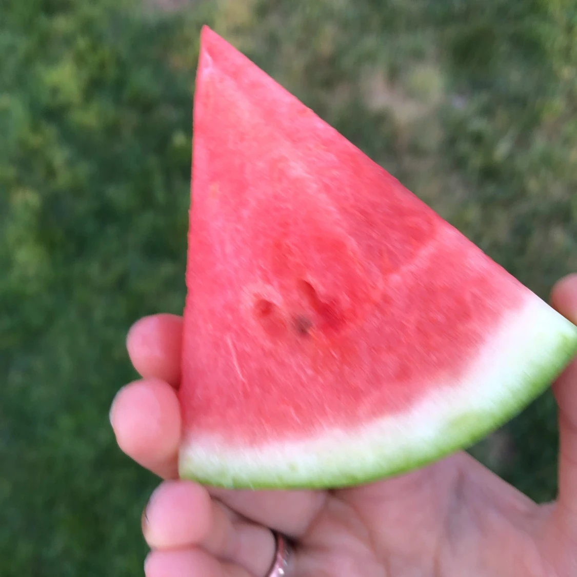melon