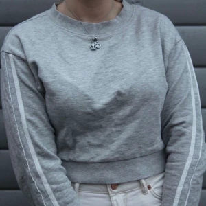 Grå Sweatshirt - Jag säljer denna super snygga gråa sweatshirten som är cropped med vita sträck på armarna! Den är i strl. XXS men passar även mig som kan bära strl. S. Priset är 50+frakt!!💕💕 (OBS. Fotade medans det snöade och därför är de små vita prickar av snö på tröjan, köpare står för frakt). 