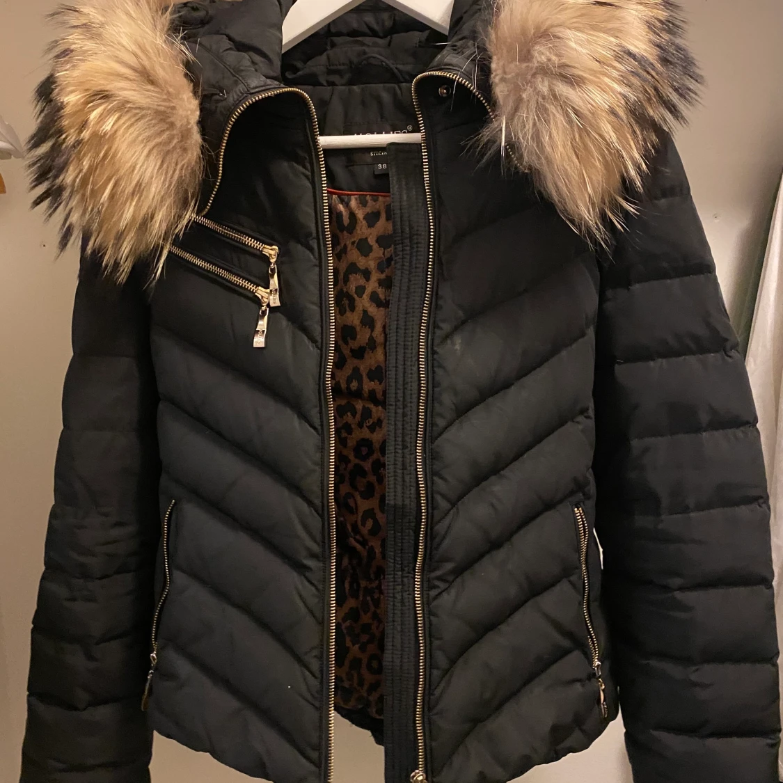 Hollies chantel jacka