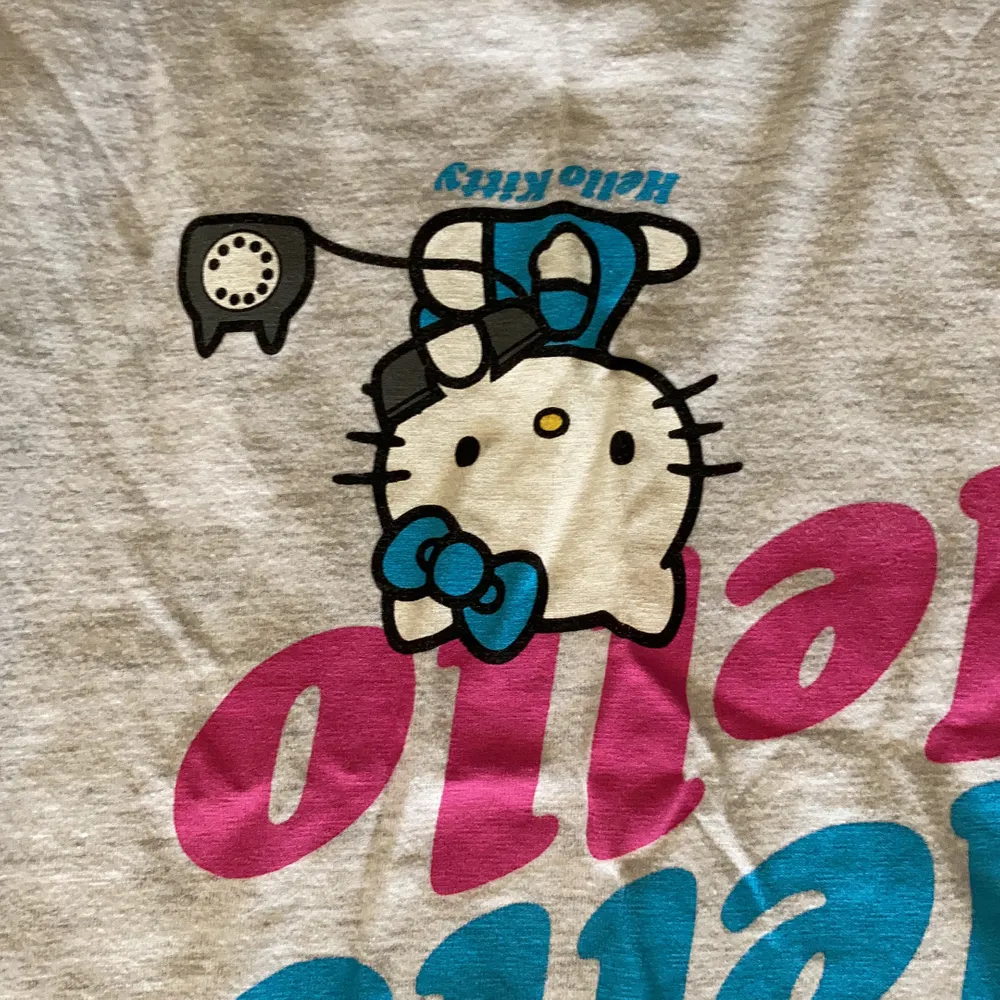 Söt t-Shirt från Bikbok med hello Kitty på märkt L. Ganska tight. Frakt 50kr. T-shirts.