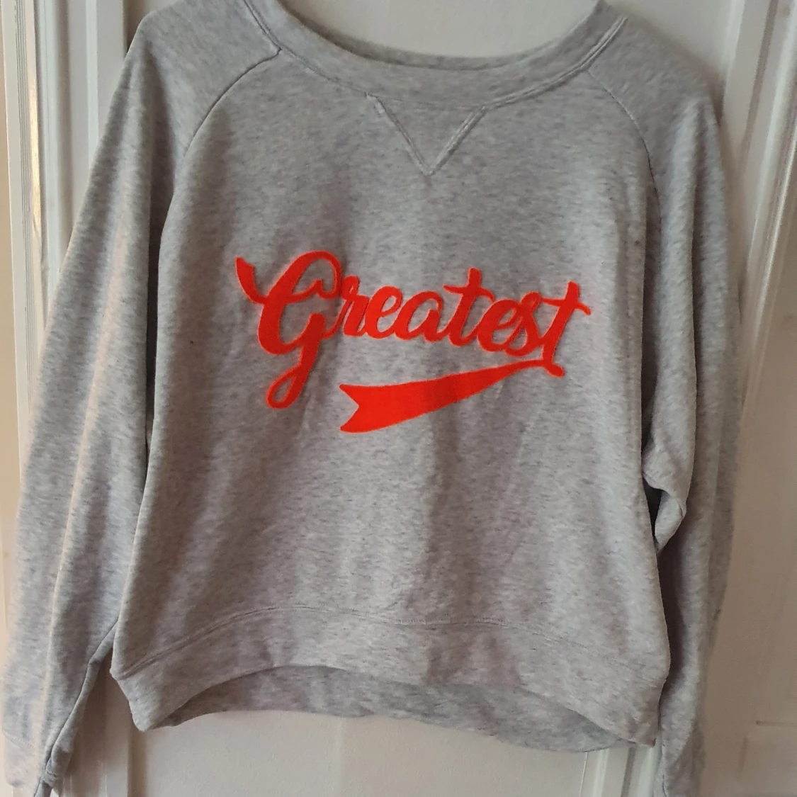 Grå sweatshirt med text