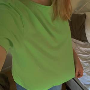 Grön T-shirt från zara, bra skick . 50kr +frakt💚