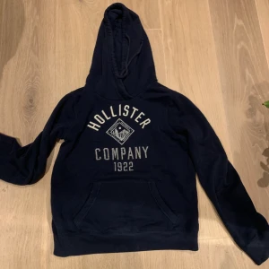Hoodie - Hoodie från hollister, längesen jag köpte den men sparsamt använd