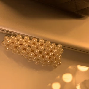 Accessoarer  - Ett guligt hårspänne som jag inte köpte för så länge sedan så den är i ett mycket bra skick. FRI FRAKT