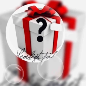  - ÖVERRASKNING BOX/ ETT HEMLIGT PAKET/ INGÅR Tre  SILVERSMYCKEN / liten hint ) (TVÅ SILVERHALSBAND 925) ETT PAR SILVERÖRHÄNGEN, alla VARSIN ETUIET.  EN Ask har en snygg SNÄCK FORM. Bjuder på Portot 