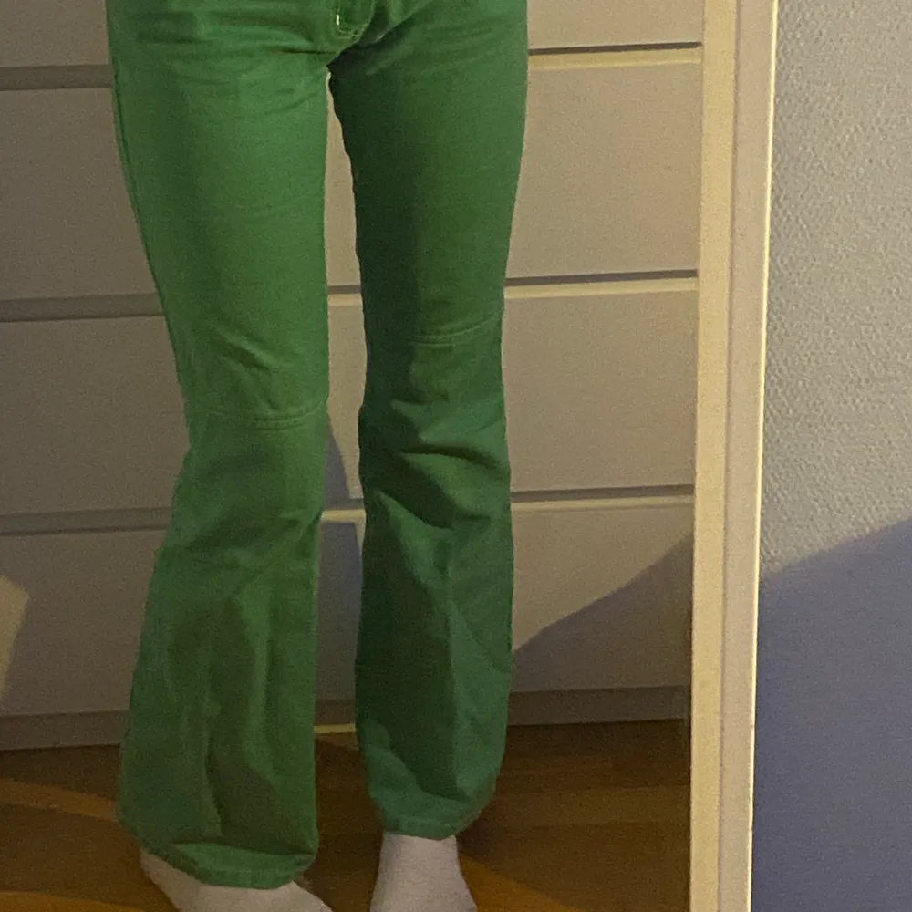 säljer mina älskade gröna jeans 😭 säljer pga att de blivit aningen små på mig, perfekt längd för någon som är runt 170! köpte de på plick för 400kr för typ ett halvår sen. Jeans & Byxor.