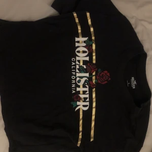 Hollister topp - Jättefin hollister topp med rosor. Bara lite använd så i väldigt bra skick 
