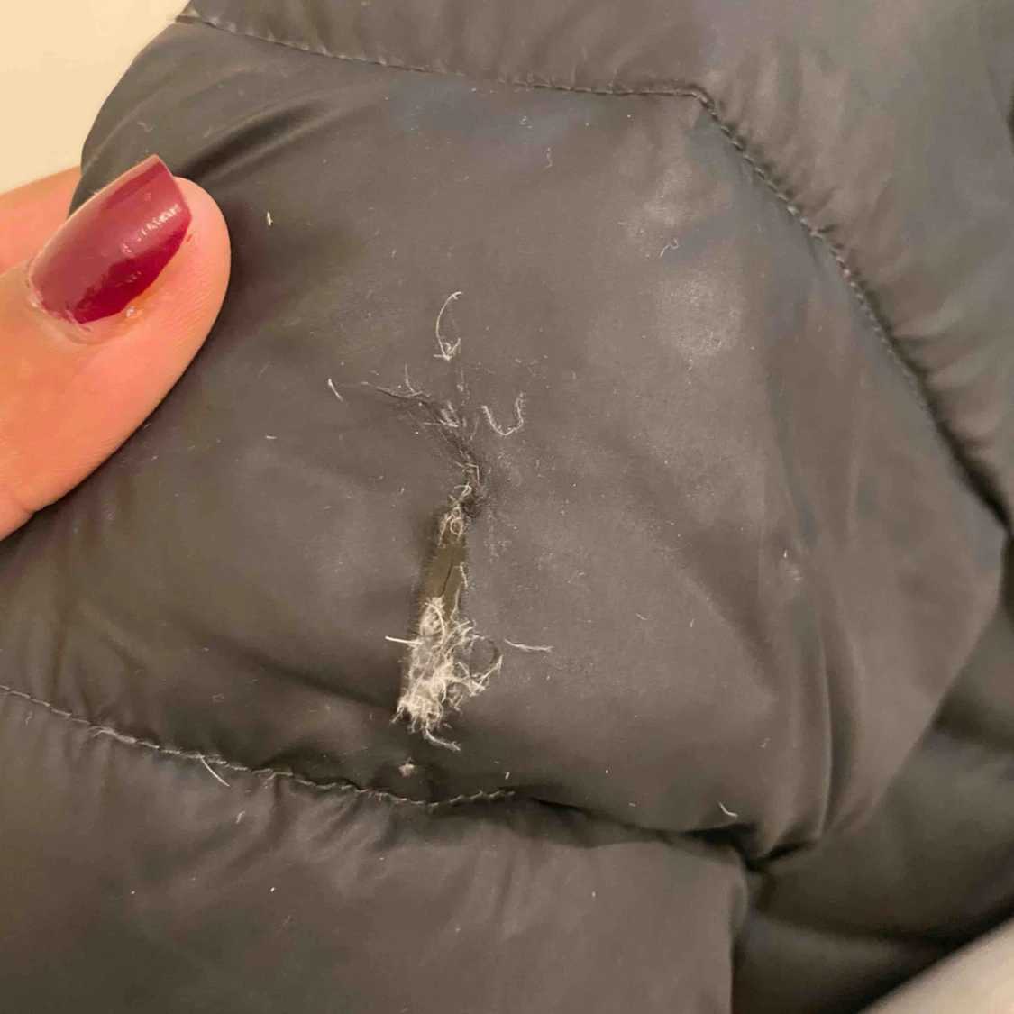 Coloseum jacka  - 91