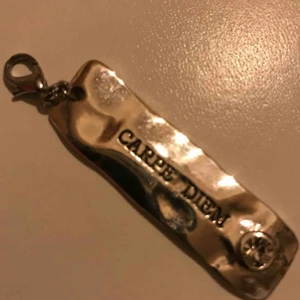  - Berlock som stå Carpe diem , pris ink frakten