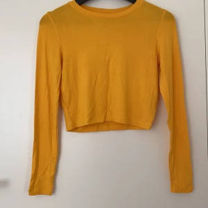 Topp Zara - En långärmad topp från Zara. Aldrig använt, prislappen är på. Fraktkostnad tillkommer. 