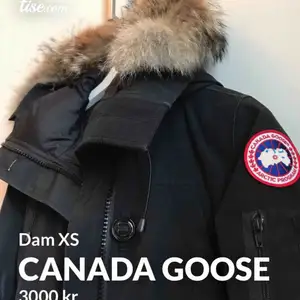 Säljer min Canada goose pågrund av att jag har ändrat min stil och vill sälja den nuuu! Köpte på NK  