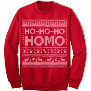  - OANVÄND jultröja med trycket "ho-ho-ho homo" och lesbiska symboler! Storlek L men snyggt oversize på mig som är XS-S Köpt från USA på etsy för 400 kr inklusive frakt och tull så därför typ halva priset!!! Skynda fynda 