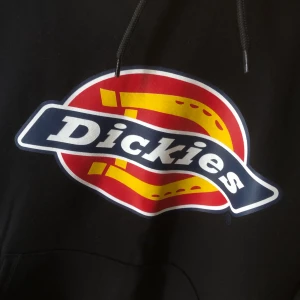 Dickies hoodie  - Jätteskön hoodie i strl S, använd en gång och inga fläckar eller skador. Nyskick 🥰 Nypris: 749
