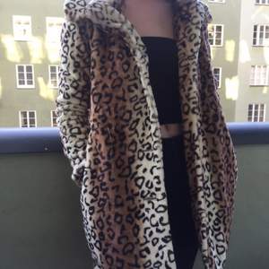 Fluffy cheetah jacket, slim fit around arms, not short not long 