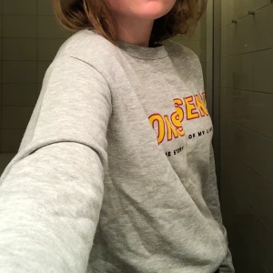 Nonsense tröja från Zara - Grå tröja från zara med trycket Nonsense. Skön och så!