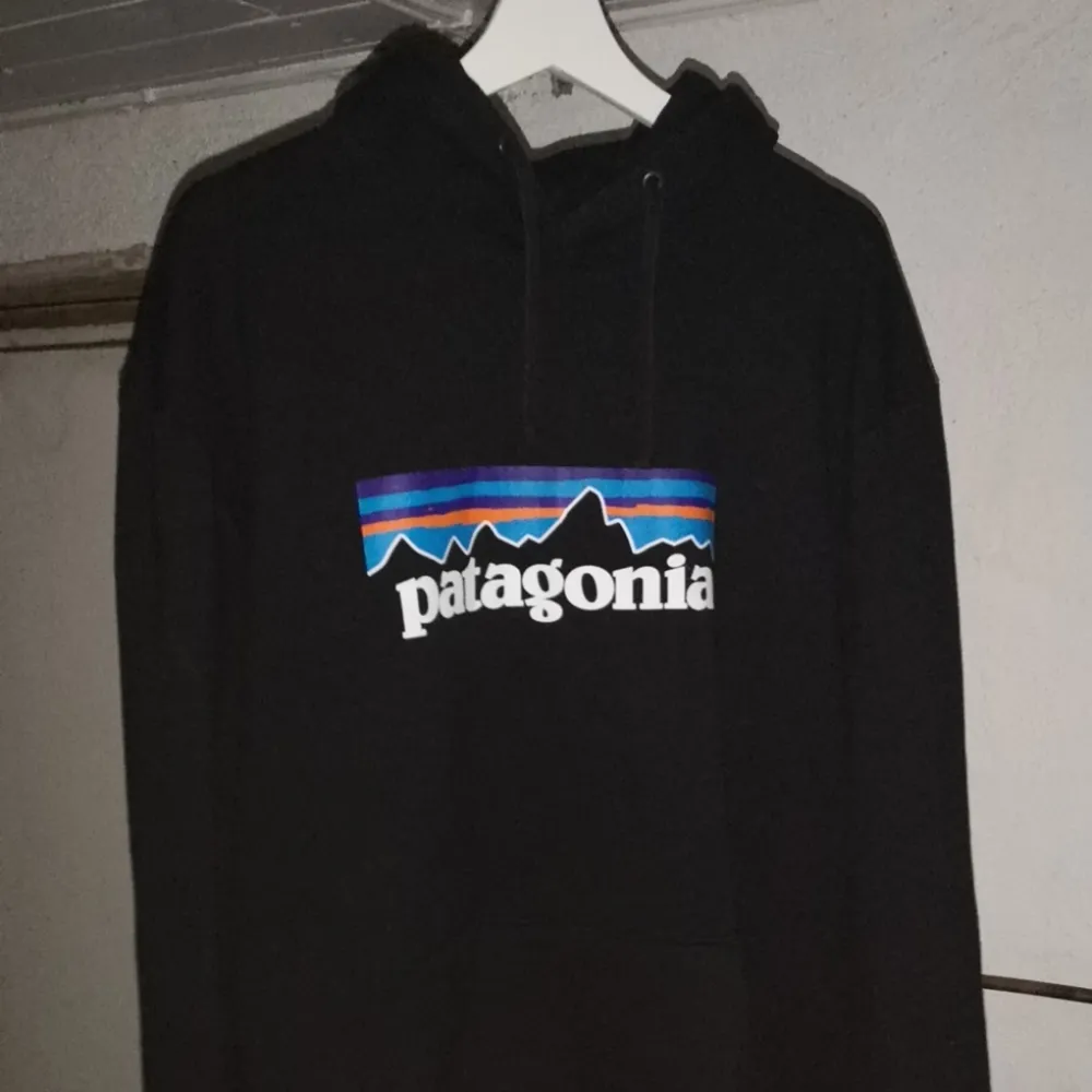 Sjukt fet hoodie från patagonia använd 2 gånger ordinarie pris 900kr, storlek XL sitter mer som en L  (betalning via swish) . Hoodies.