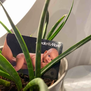  - Presentkort på media markt som inte kommer att användas :)   Värt: 50 kr  Frakt: Ingår i priset