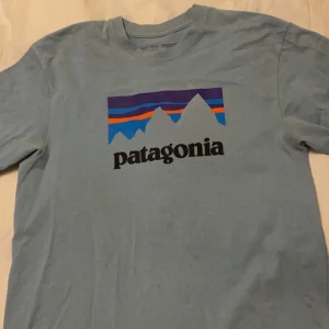 Patagonia T-shirt   - Köpt i storlek s (herr) men skulle säga att den som en M-L ursprungpris: 350kr