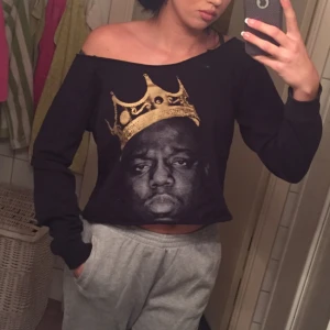  - Biggie (Fraktar endast, frakt ingår i priset)