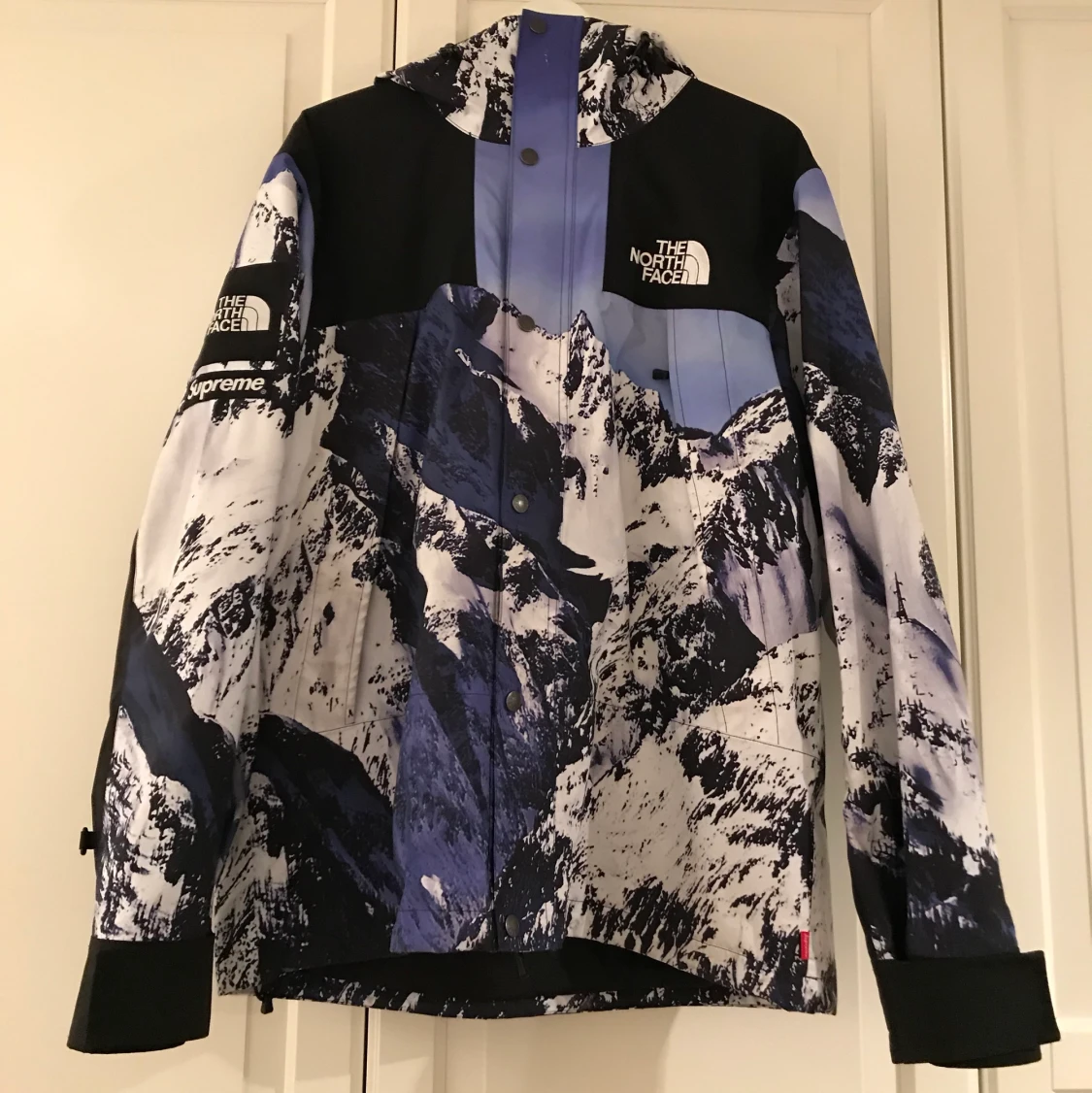 Supreme x The North Face mountain parka
