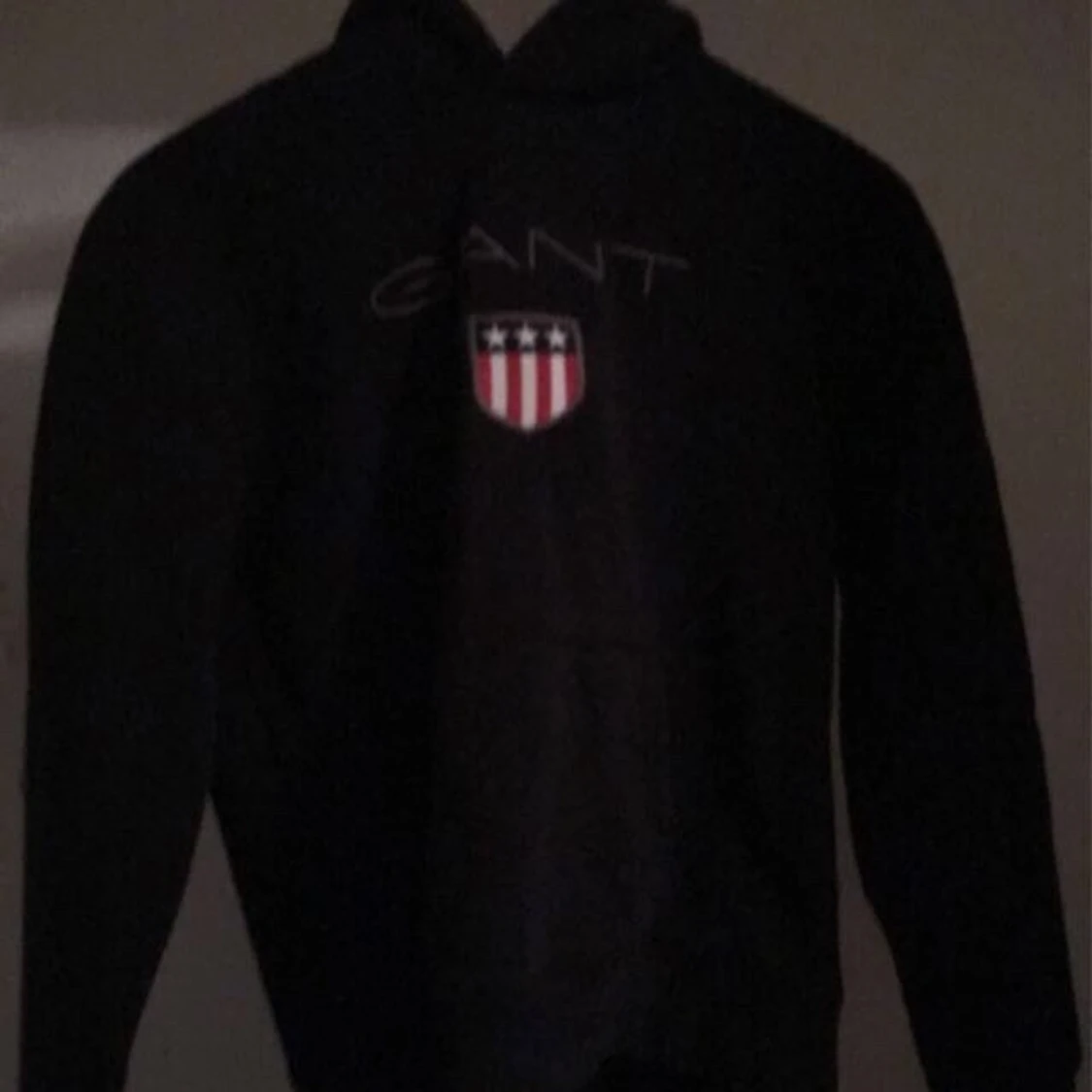 Gant hoddie