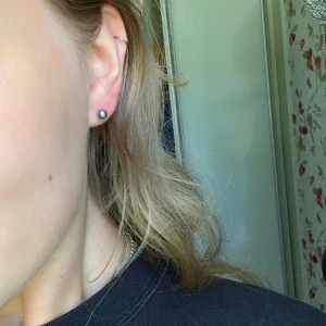 Silvriga örhängen!  - Silvriga pluppar! Perfekt i sina extra hål 