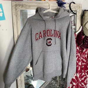 Grå hoodie  - Säljer denna hoodie, frakt 66kr💞💞 hör av dig för frågor eller intresse. Om fler är intresserad blir de budgivning kram😇 (lite nopprig)