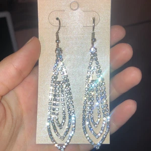 Bling bling örhängen - Nya, aldrig satt på mig. Buda:))