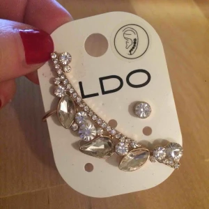  - Två örhängen, ena som går upp längs med örat och har en clip-on baktill (se tredje bilden). Aldrig använd!! Säljer till jättebra rabatt!  Märke: Aldo. De säljer skor, väskor, smycken etc i mkt bra kvalitet! Köpt i New York, USA 