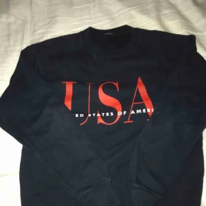  - Sweatshirt från Brandy Melville. Frakt ingår ej, kan mötas i Stockholm 