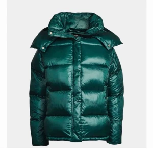 Vinterjacka - Jag säljer nu min jättemysiga mörkgröna vinterjacka!⭐️ Den har tyvärr endast kommit till användning ett fåtal gånger vilket är väldigt synd då den är så fin. Luvan går att ta av. Högsta bud just nu: 550kr.☺️✨