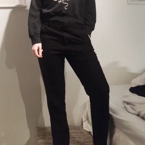  - Byxa från Weekday Collection, egentligen herrstorlek men passar bra på en storlek M. Varma, så är väldigt sköna nu på vintern.