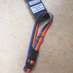  - Hundhalsband aldrig använt pga fel storlek 🌈🌈 passar mindre hundar. Ställbart.  Köparen står för frakt. 