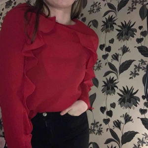  - Fin röd blus från Ullared med volanger fram. Använd väldigt lite då den är på gränsen till för liten för mig!