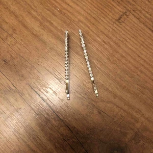  - Silver hårspännen.