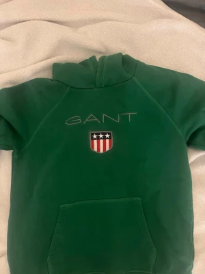 Gant hoodie  - Fin gant hoodie 