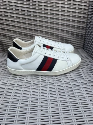 Gucci Ace  - Gucci Ace || Storlek EU 44 UK 10 || Skorna är i skick (se bilder) || Tveka inte på att höra av dig vid frågor eller funderingar 