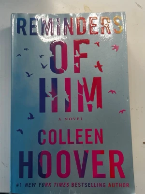 Reminders of Him av Colleen Hoover - En gripande roman om Kenna Rowan som efter fem år i fängelse återvänder för att återförenas med sin dotter. Boken utforskar teman som förlåtelse, hopp och kärlek, och är skriven av bästsäljande författaren Colleen Hoover. Omslaget är ljusblått med färgstark text och fåglar. Köptes i London! 💞