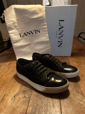Bruna Lanvins I 42,5 - Bruna Lanvins i storlek 8 (42,5). Det är i bra men använt skick. På utsidan är det inga riktiga defekter men lite i hälen på insidan. Påse följer med men inte box. Hör av dig vid frågor eller prisförslag!