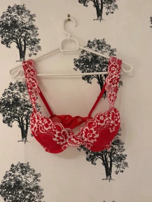 Röd spets-bh med blommönster - Snygg röd bh med vita spetsdetaljer och blommönster. Bh:n har breda axelband i spets, bygel och dekorativt band mellan kuporna. Justerbara axelband och hakknäppning bak. Materialet är en mix av spets och mesh för en feminin look.
