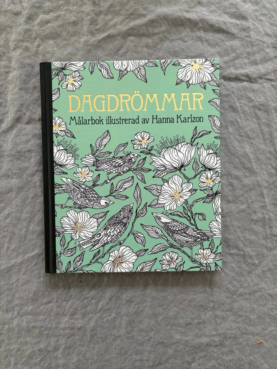 Målarbok - dagdrömmar